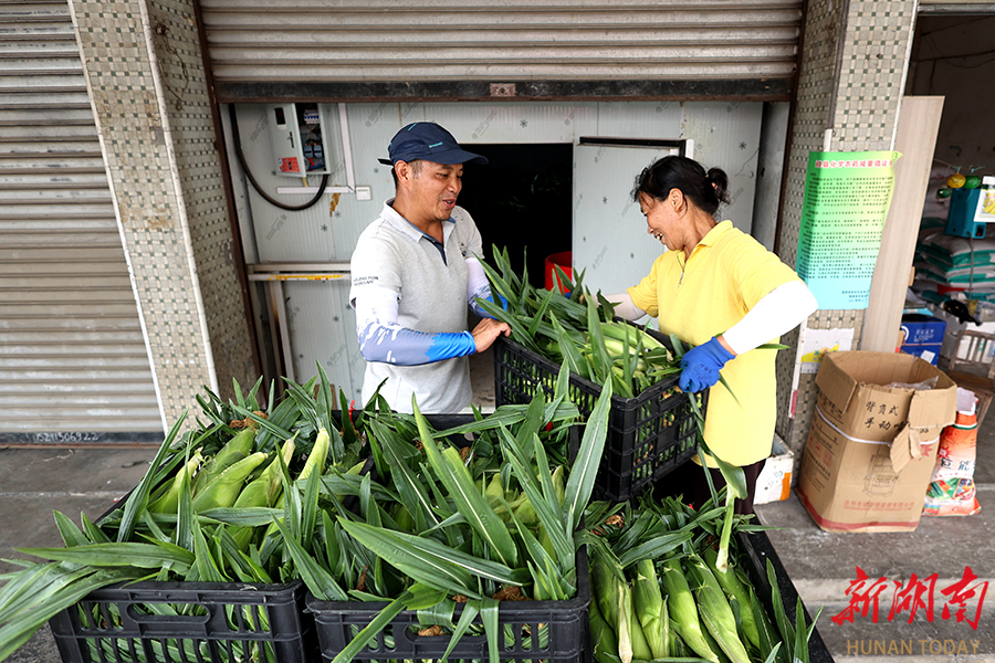 一村一冷库 铺就发展路