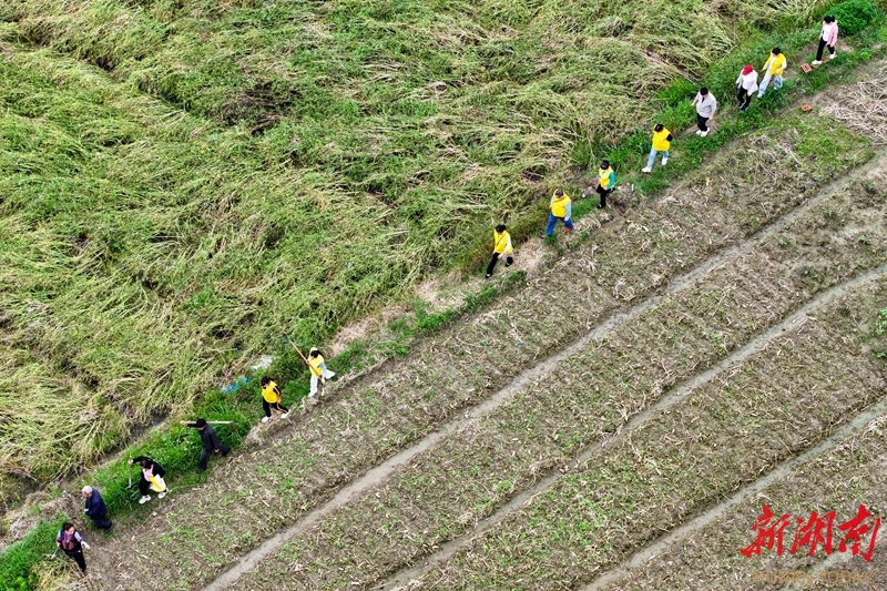 田间助农